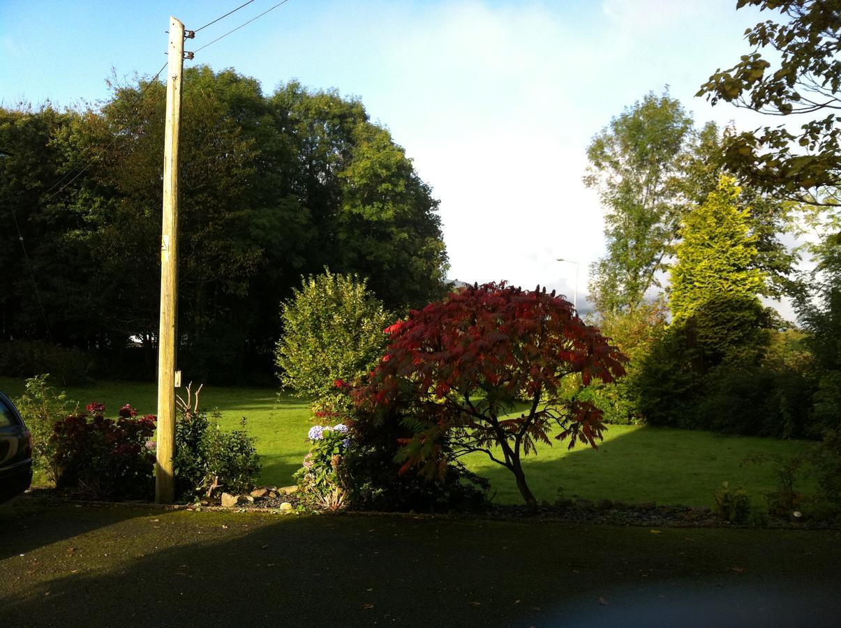 Trem Hyfryd B&B Dolgellau Exterior foto